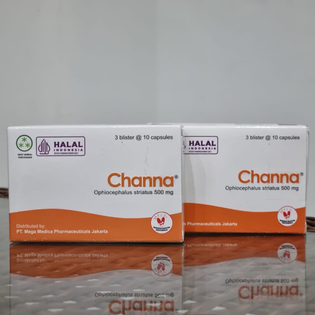 CHANNA OPHIOCEPHALUS STRIATIS 500 MG / OBAT PENGERING LUKA