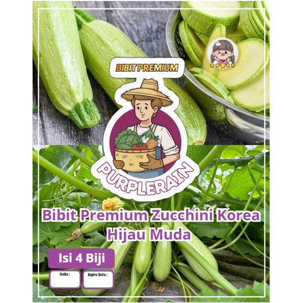 Bibit Premium Zucchini Korea Hijau Muda |Biji Benih Zukini Light Green | Zucchini Green