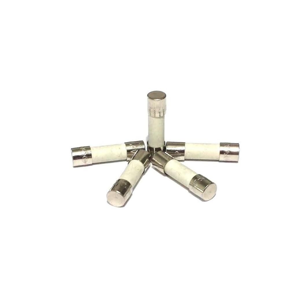Littelfuse 5x20mm T2AH250V 250V Ceramic Fuses Slow Blow T2AH 2A 5x20