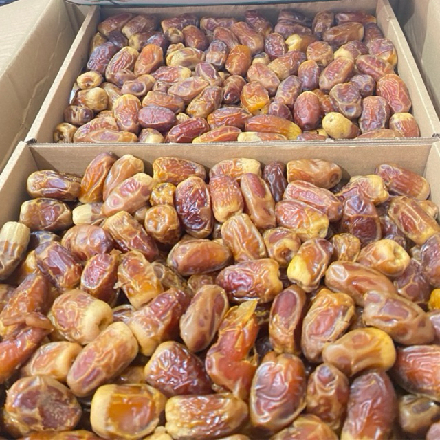 [BAKUL MADINAH]-Kurma Sagai Susu