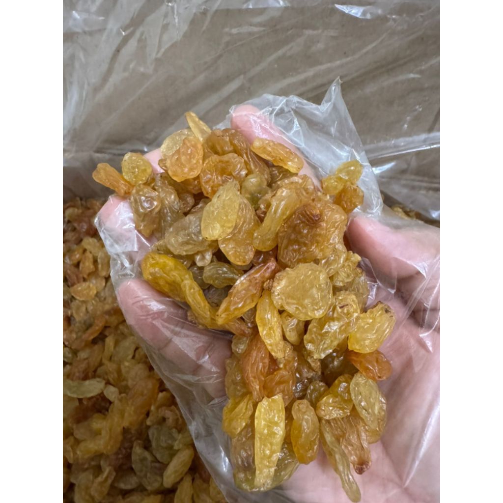 Kismis Arab 1kg Golden Raisin Jumbo Asam Manis Enak