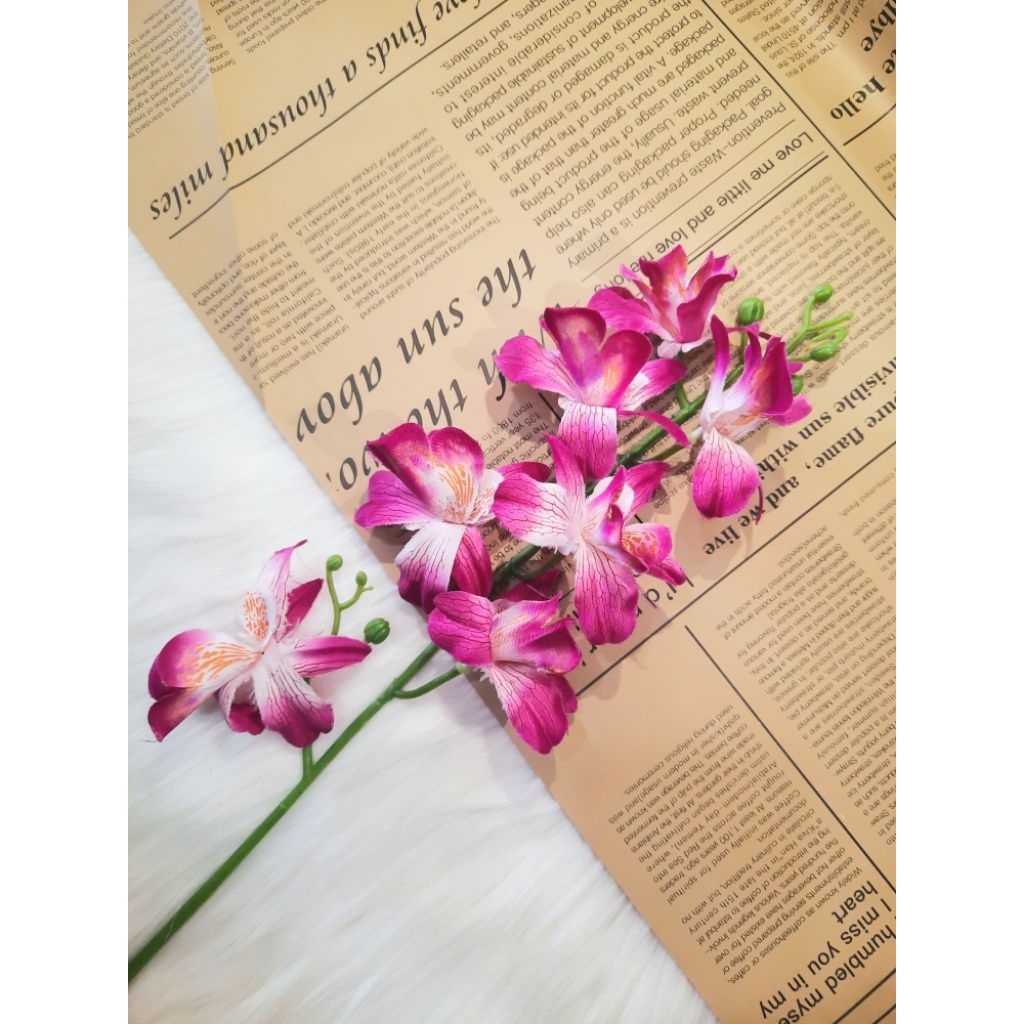 [1 TANGKAI] Anggrek Mini /Bunga Anggrek Estetik / Import / Hiasan Estetik