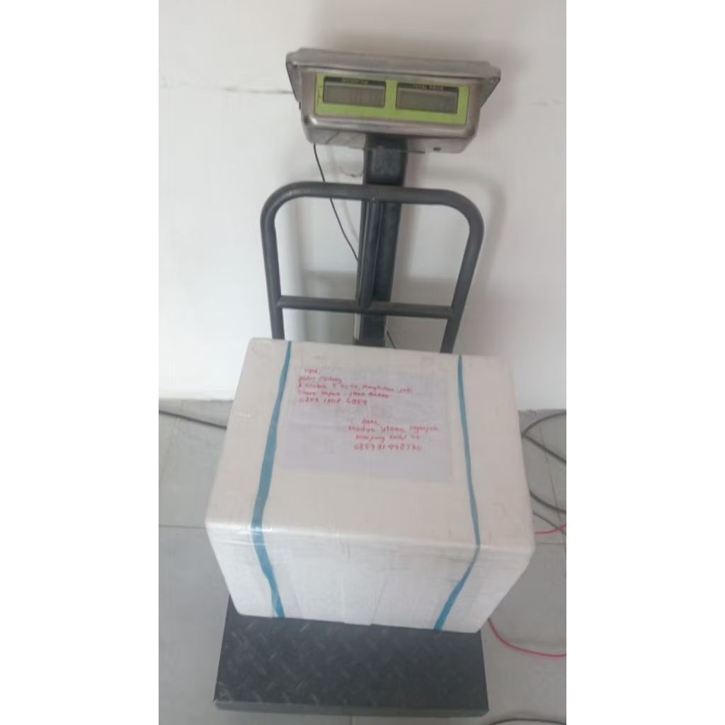 murah grosir daging bekicot mentah 10kg