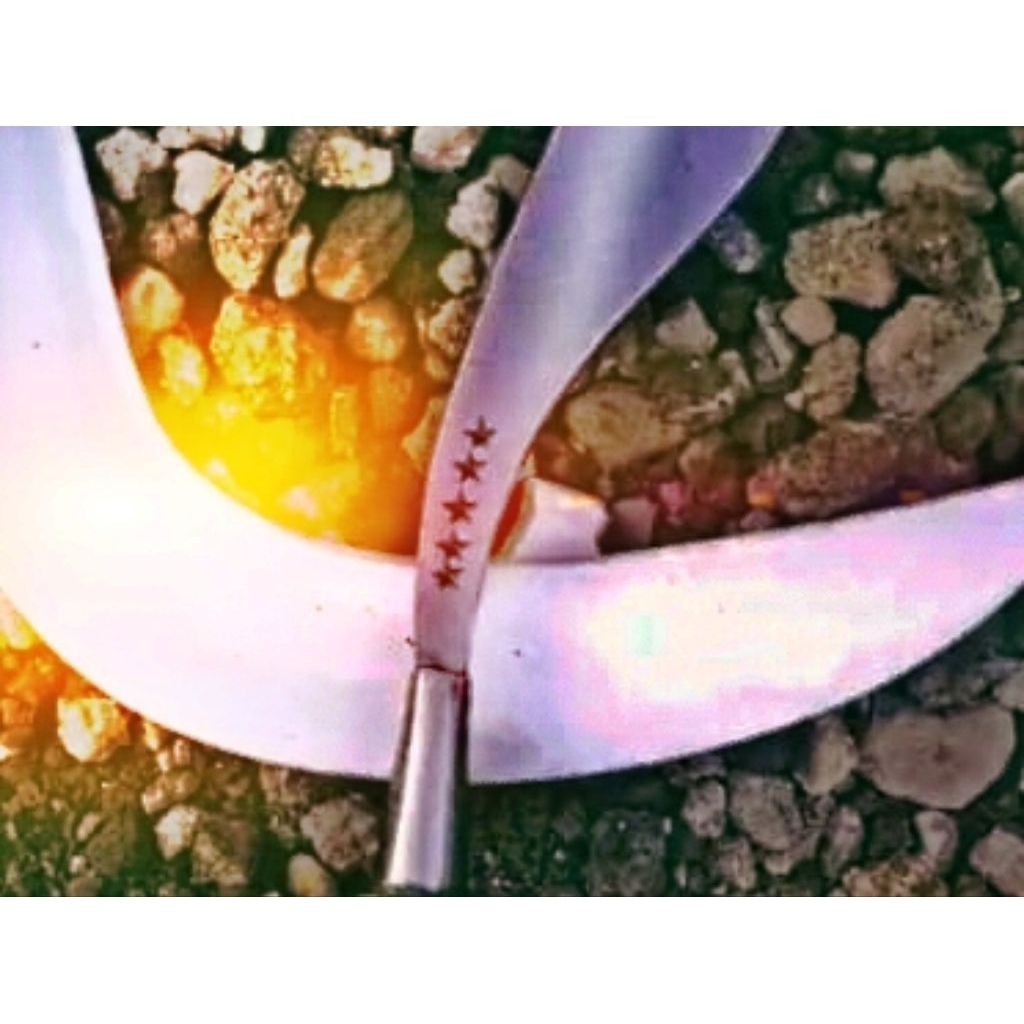 Arit/sabit rumput bintang5 khas Madura