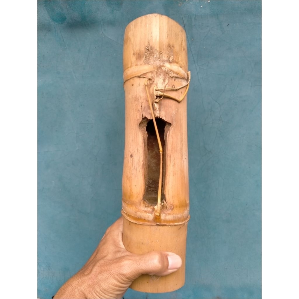 BAMBU UNIK PETUK JALU SINGKIR BATANG UTAMA (30 CM) APUS ISTIMEWA