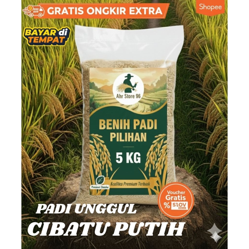 Benih padi CIHERANG PUTIH berkualitas unggul kemasan 5kg