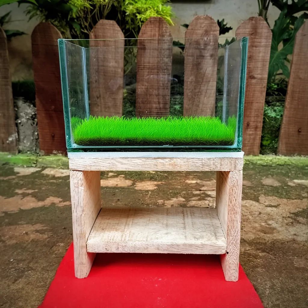 Aquarium set meja rumput sintetis ukuran 20 10 12 aquarium minimalis aquarium cupang tank kaca minim