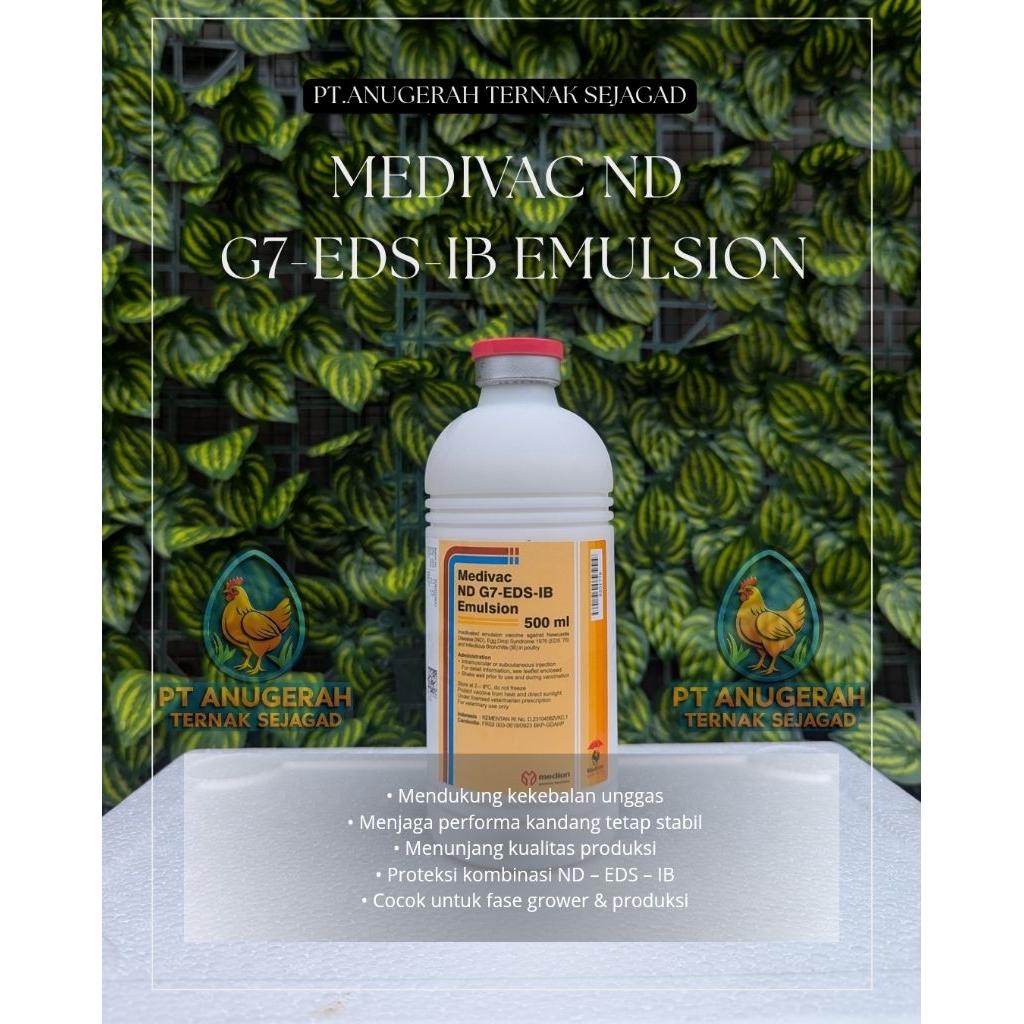 Medivac ND G7 EDS IB 500 ml – vaksin Unggas untuk Perlindungan Kandang & Performa Produksi