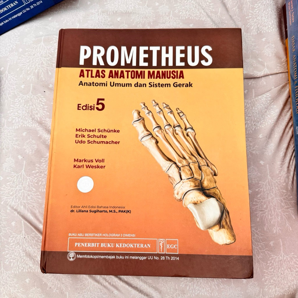 prometheus atlas anatomi edisi 5