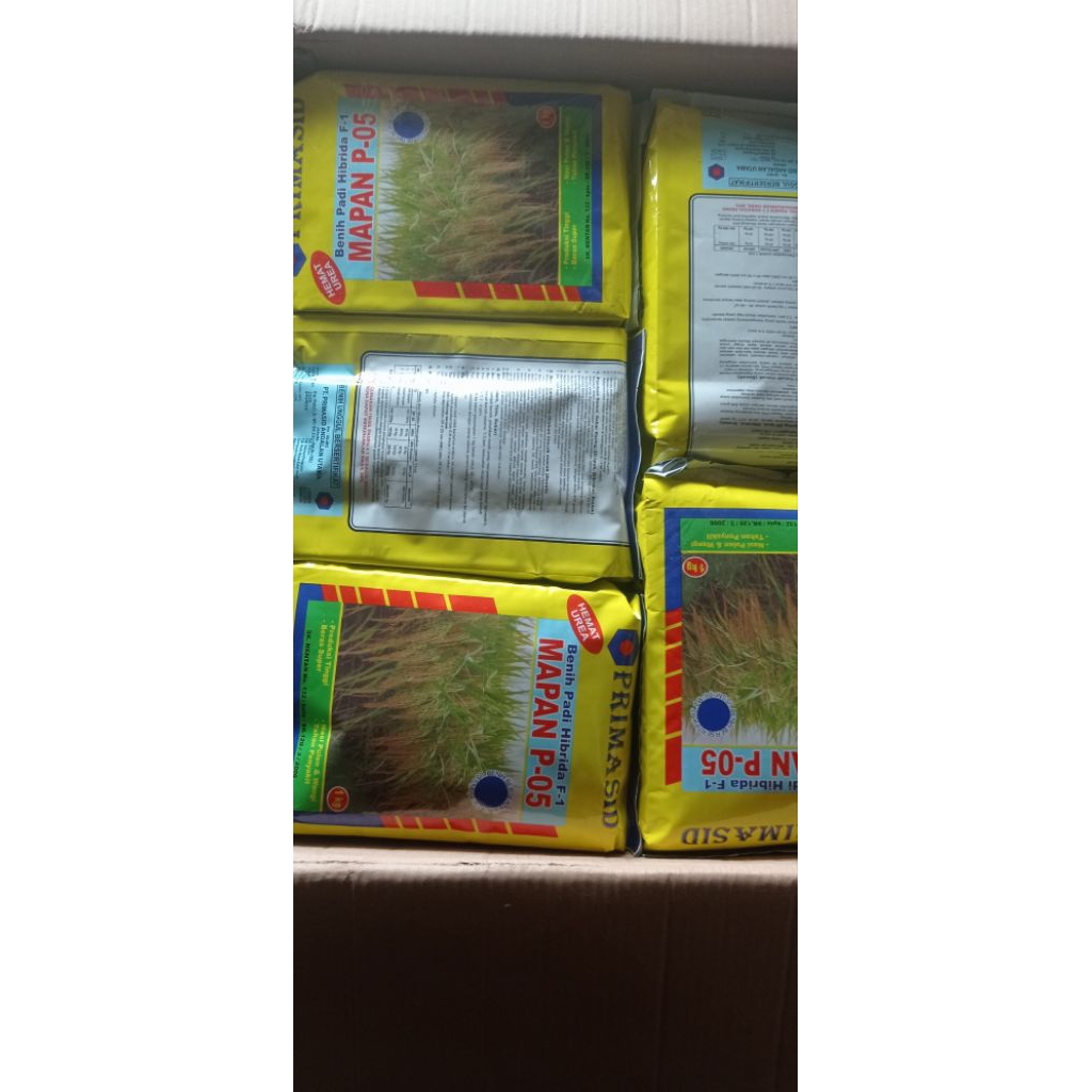 bibit padi hibrida mapan di jamin orisinil