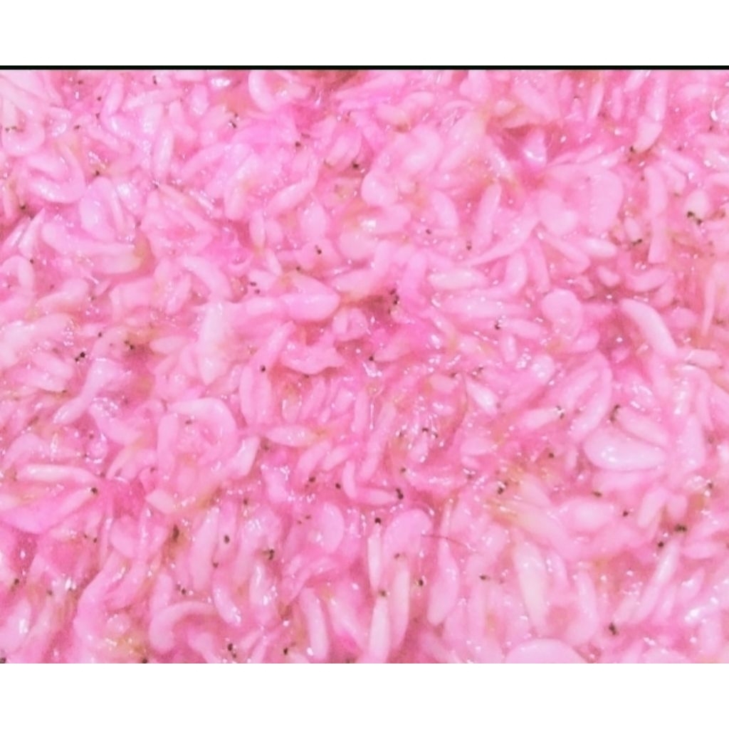 Hakoi/Hekoi/Calok/Cincalok Udang Pontianak 1kg