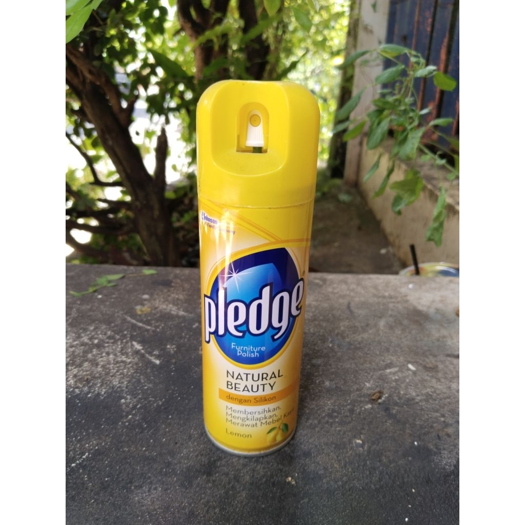 PLEDGE LEMON KECIL