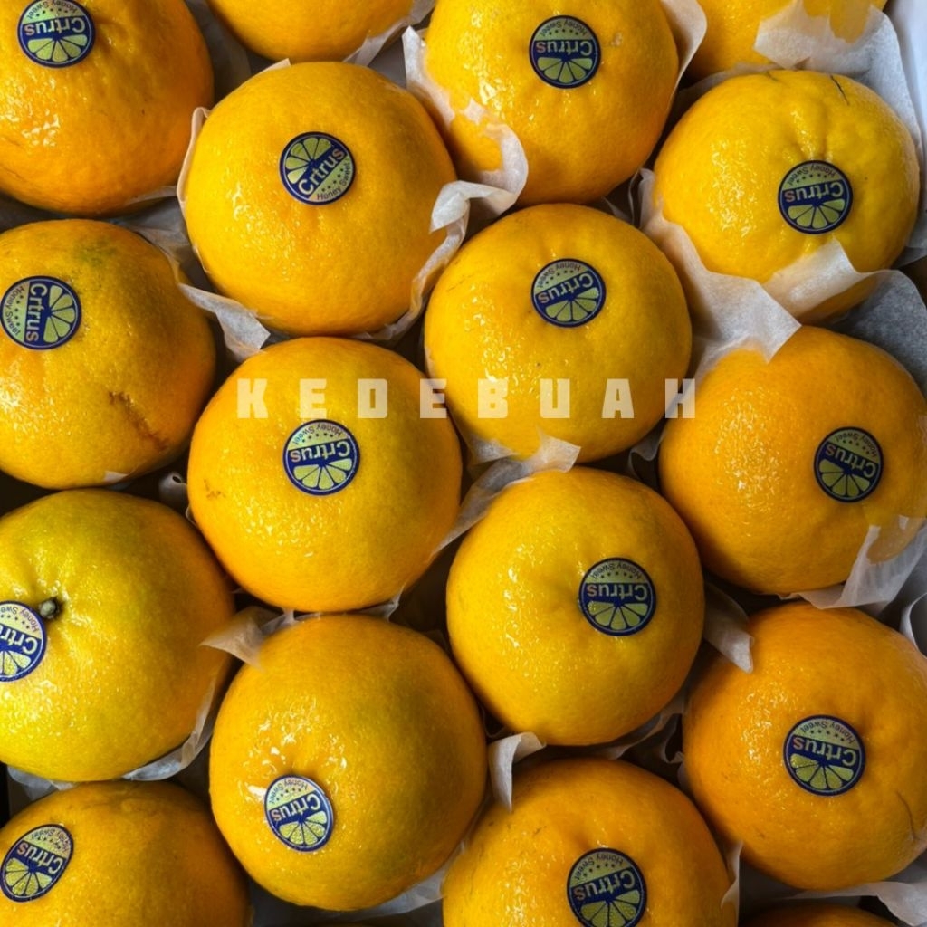 Jeruk Wokam | Wogan Mandarin