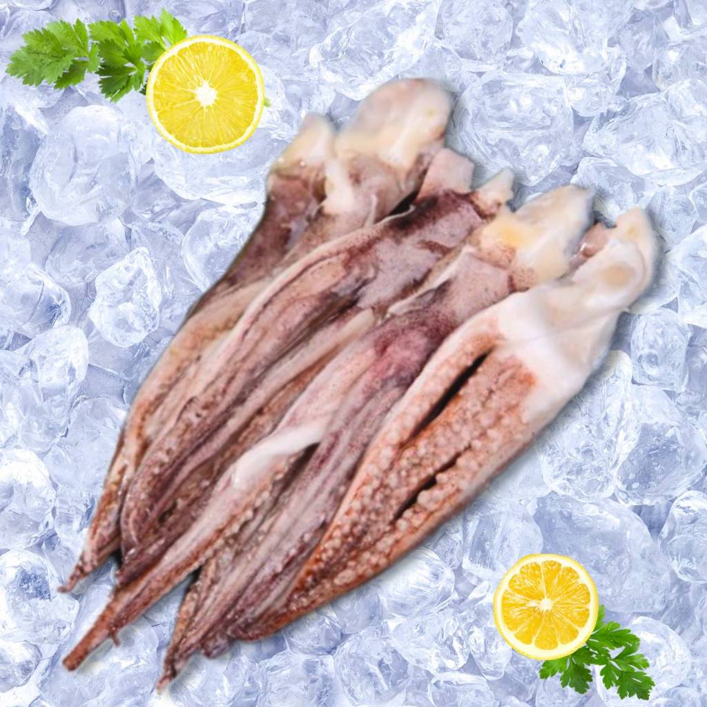 Cumi Utuh Frozen Food Cumi Fresh Segar Beku - Cumi Bersih Siap Masak 1200gr