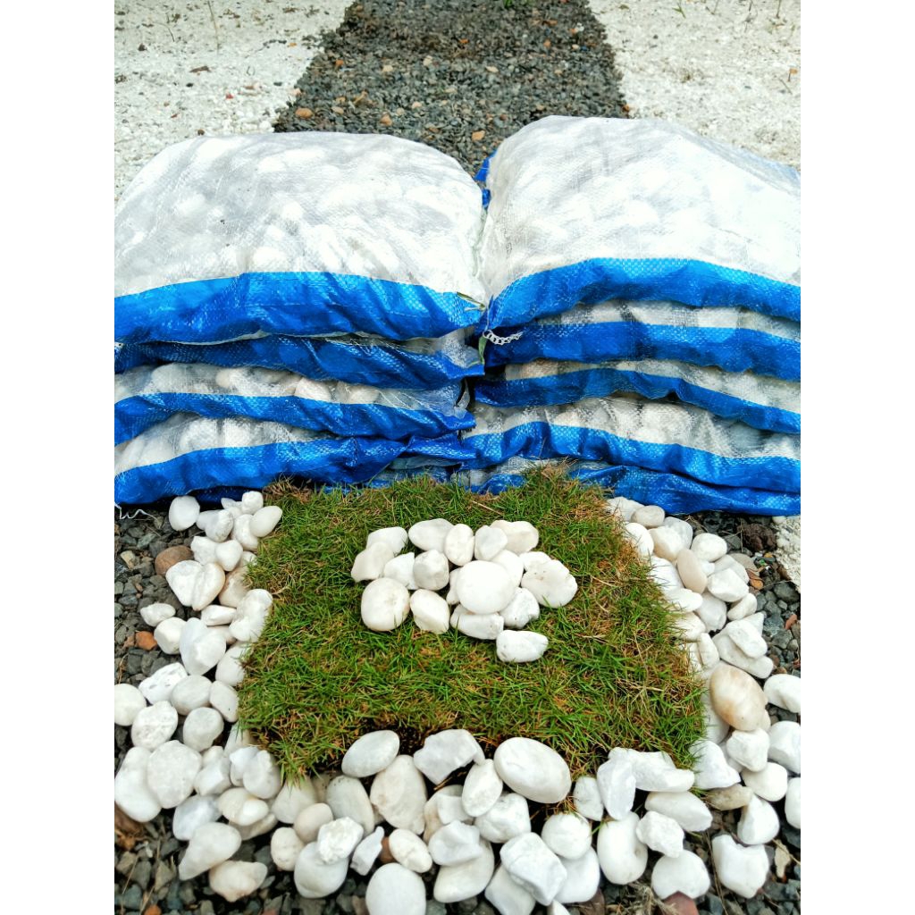 batu coral putih untuk taman