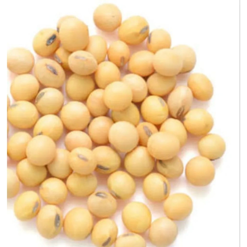 1 KG BENIH KEDELAI GROBOGAN UNGGULAN