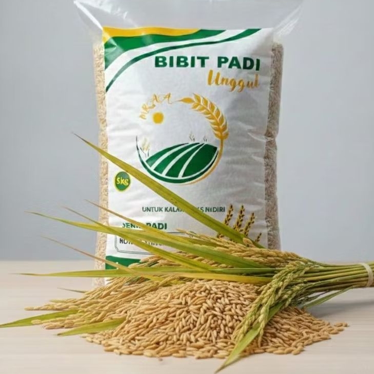 BENIH PADI UNGGUL ROJOLELE SRINUK VARIETAS NASIONAL TERBAIK - MASA PANEN 105 HARI 5KG