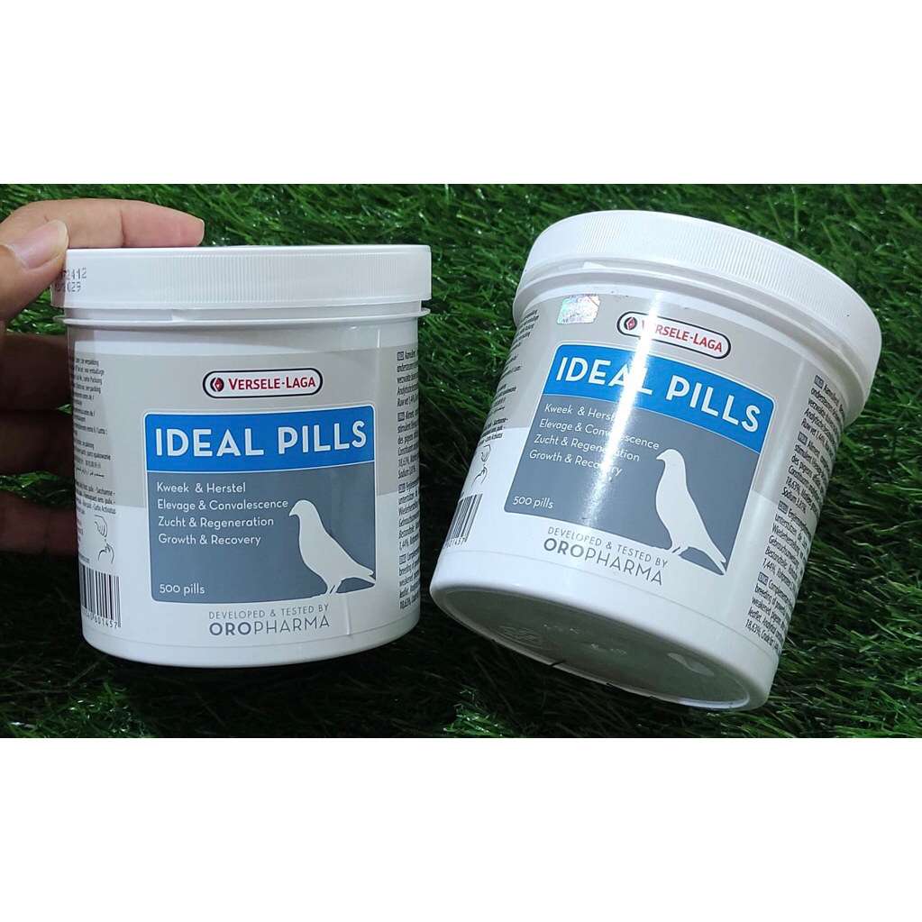 JAMU MERPATI IDEAL PILLS SETAMINA MERPATI