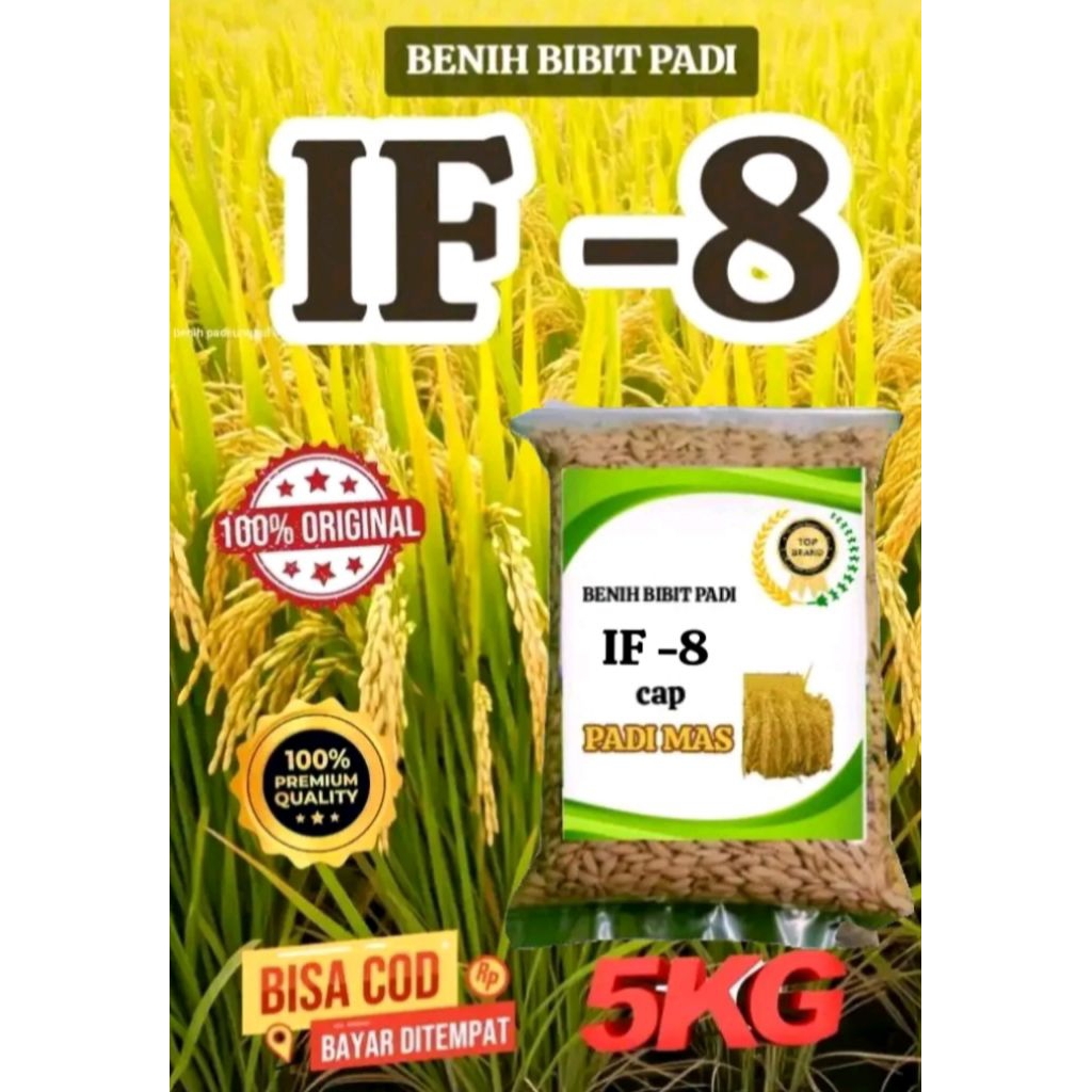 Benih Bibit Padi IF-8 Unggul & Berkualitas Kemasan 5kg