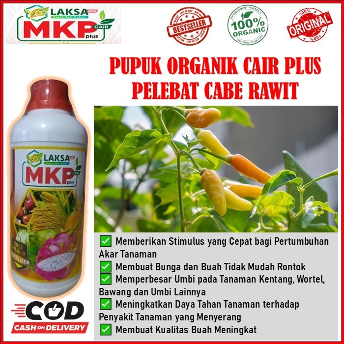 MKP Laksa Grow pupuk organik cair plus memperbanyak cabe rawit - pupuk pelebat cabe rawit mkp laksa 