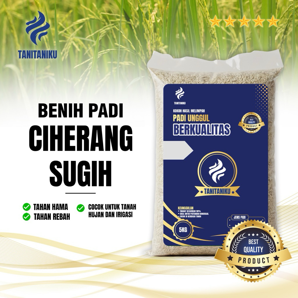 Benih padi bibit padi CIHERANG SUGIH kualitas original kemasan 5kg