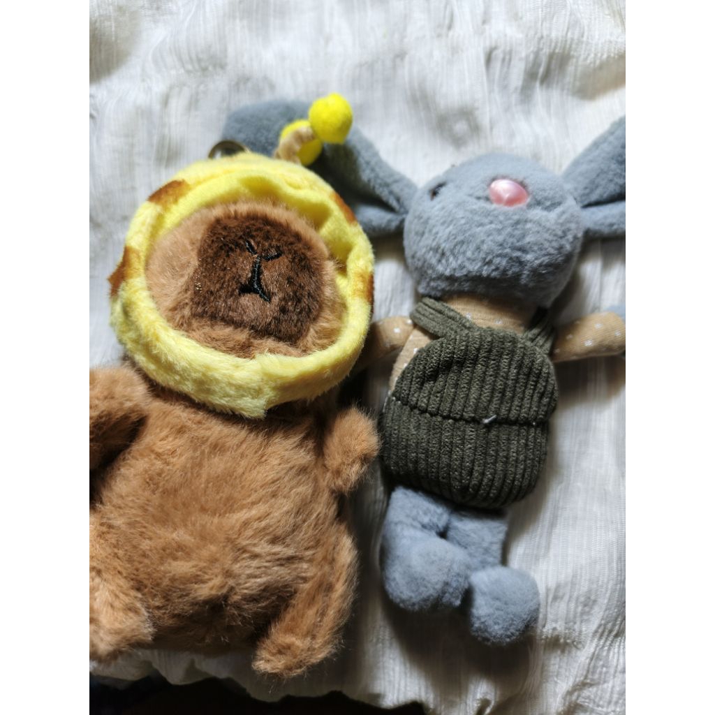 Boneka keychain capybara new boneka mr.diy kelinci