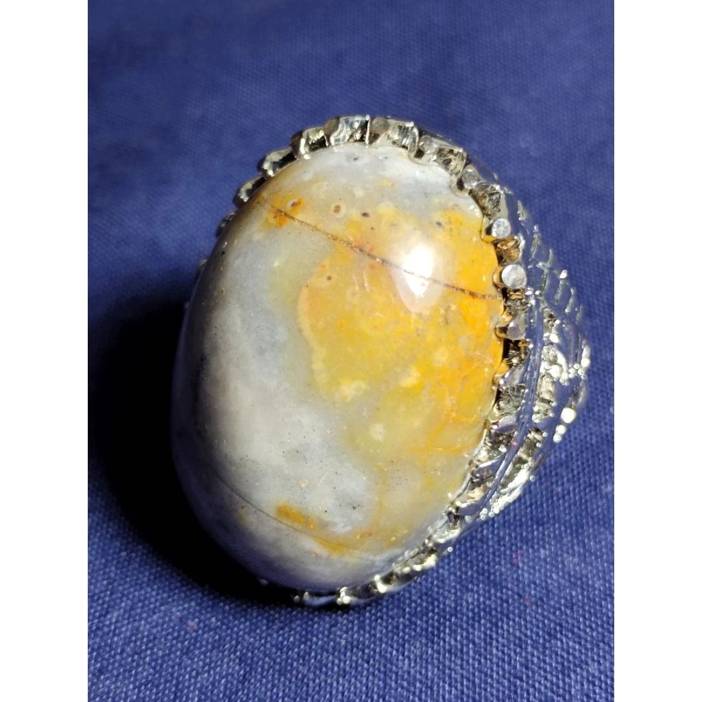 Natural Asem Petrified Wood, CHOCOBO / Batu Fosil Kayu Asem, CHOCOBO