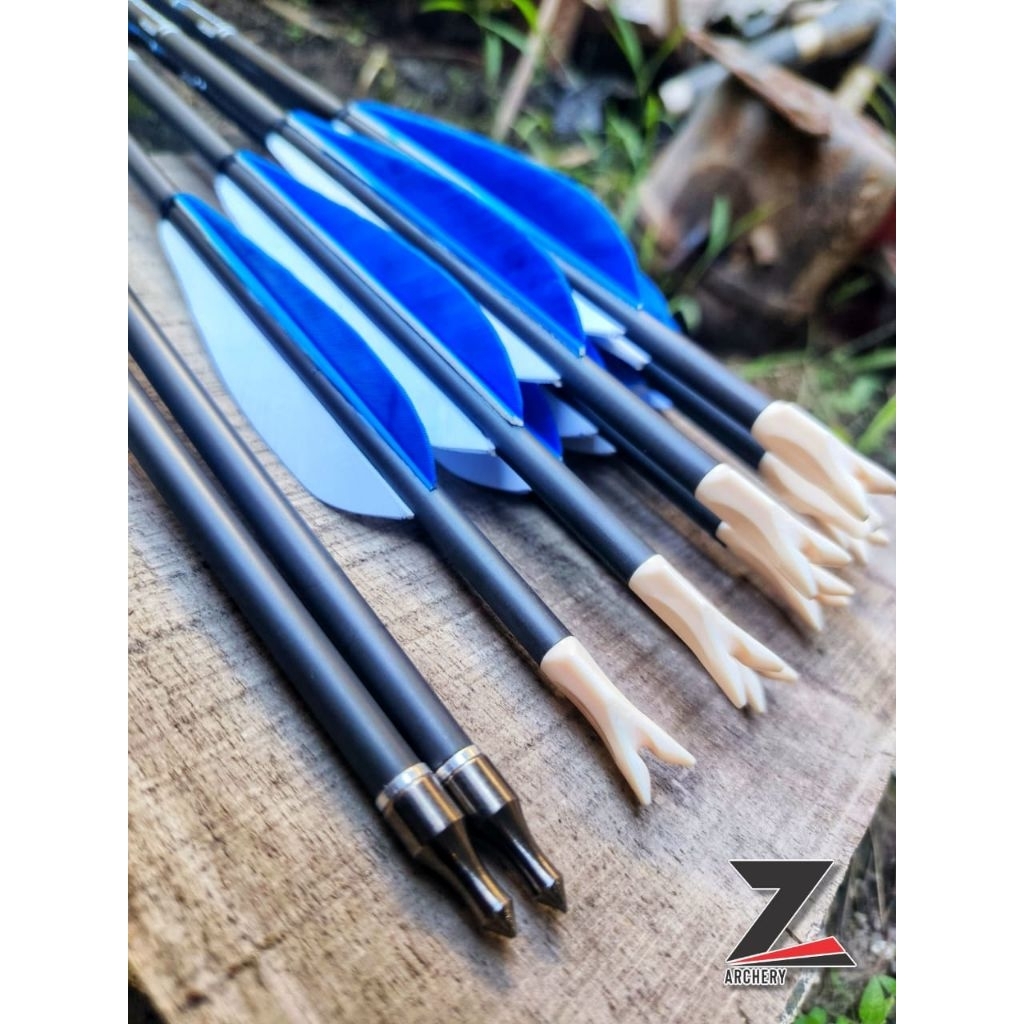 Arrow Carbon Express Predators