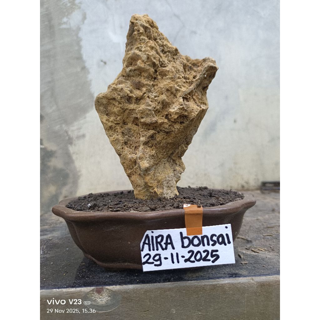 batu untuk bonsai penjing