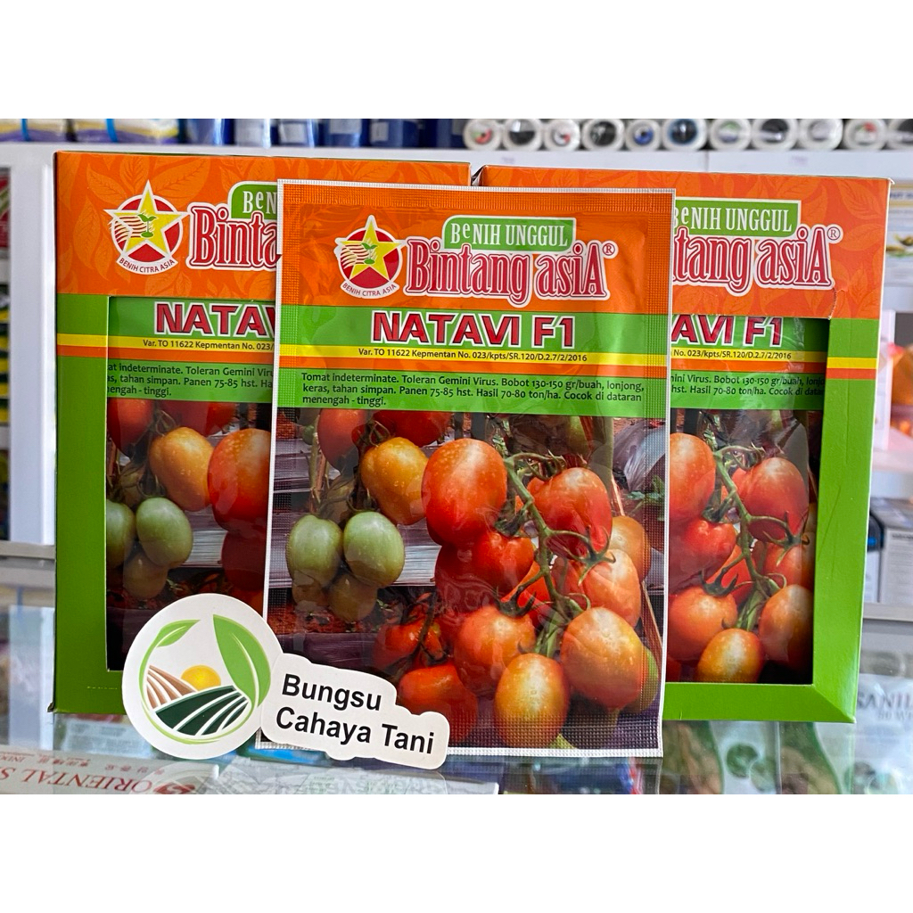 Benih Tomat Besar NATAVI F1 10gr Bintang Asia