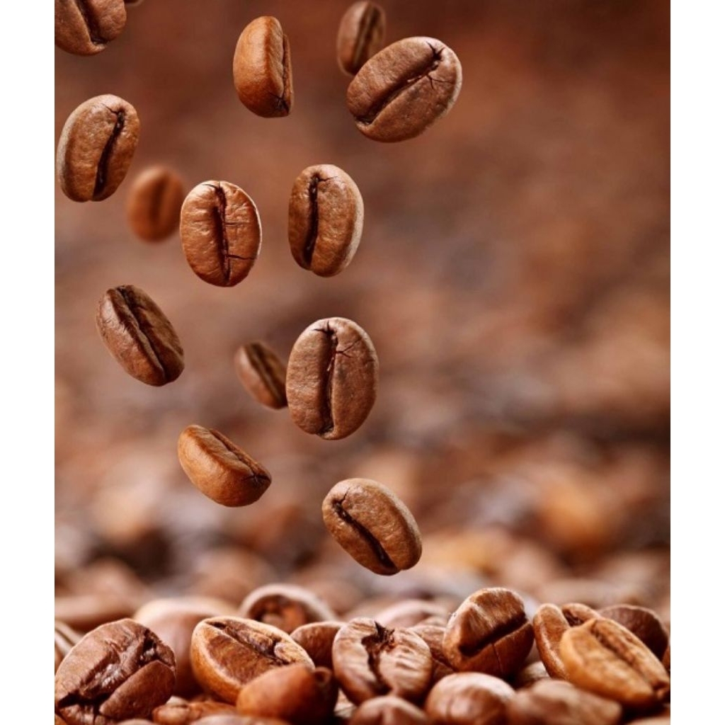 kopi biji bubuk asli toraja 1KG