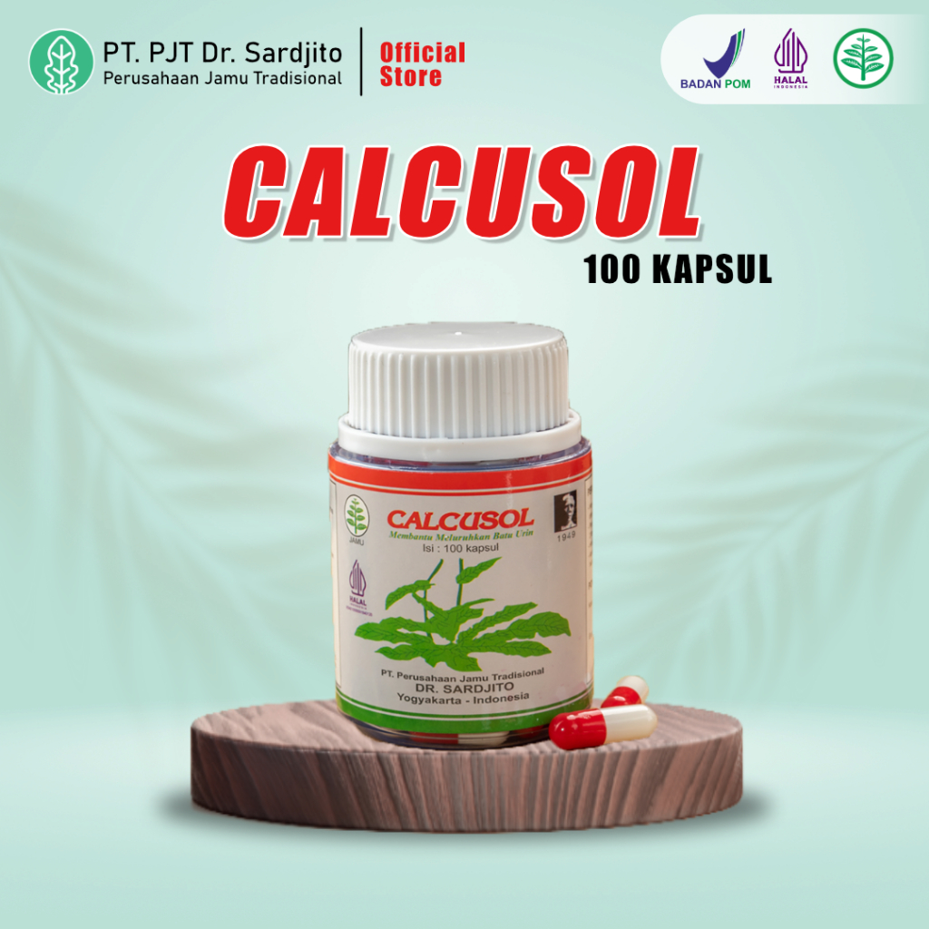 Calcusol 100 Kapsul Obat Herbal Batu Ginjal & Kencing Batu Ampuh