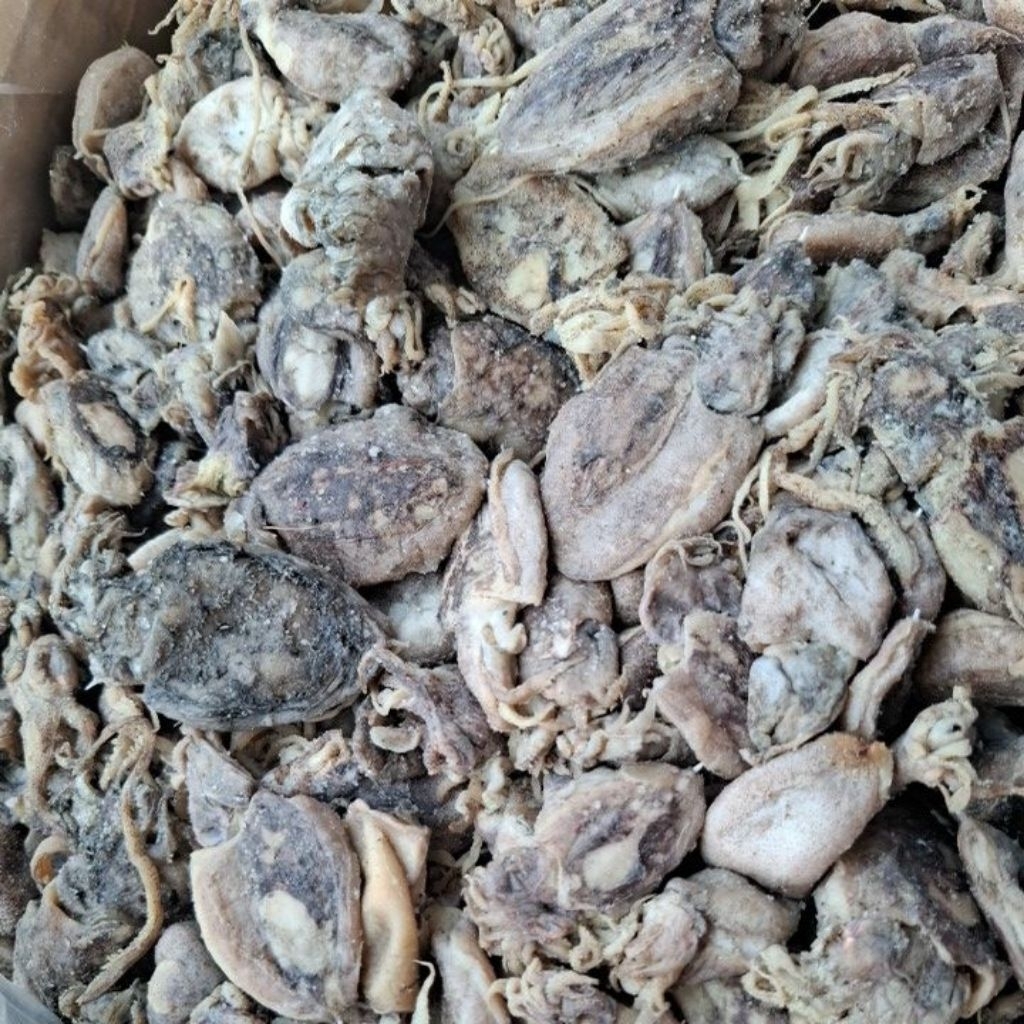 Cumi Asin Bekutak 1 kg Termurah