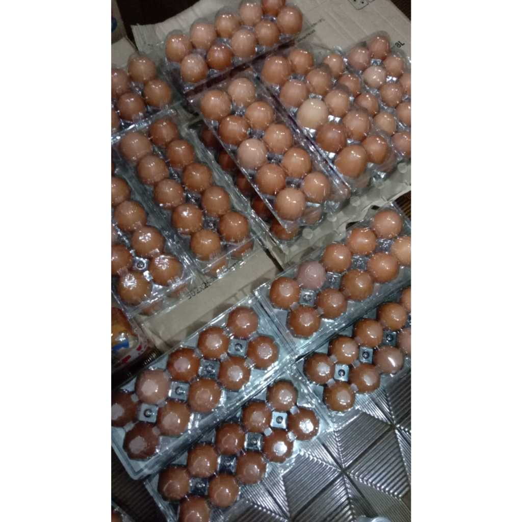 TELUR AYAM NEGERI 10 BUTIR MIKA TELOR