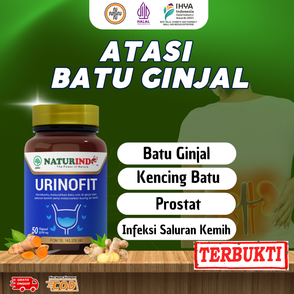 Obat Batu Ginjal Herbal Penghancur Kencing Batu Ginjal Urinofit Naturindo