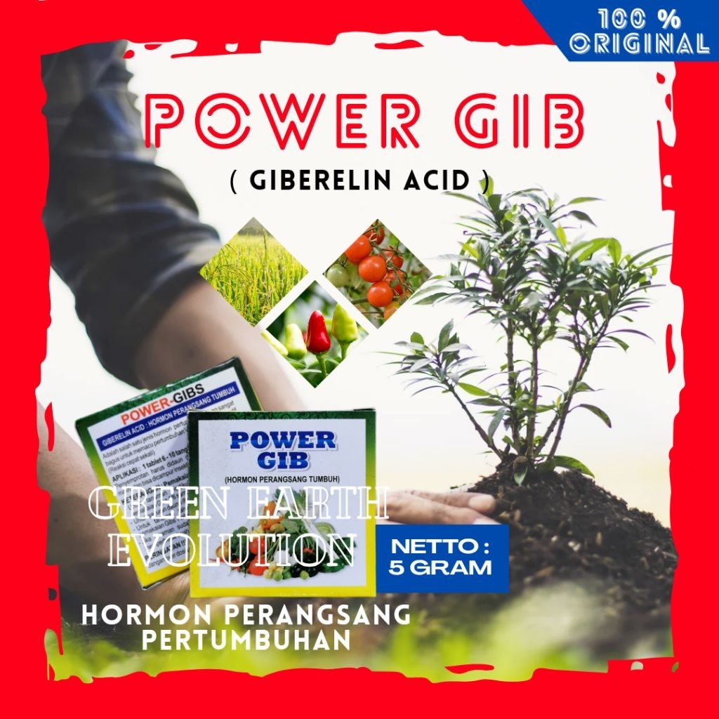 Power Gib Giberelin Acid Hormon Perangsang Tumbuh
