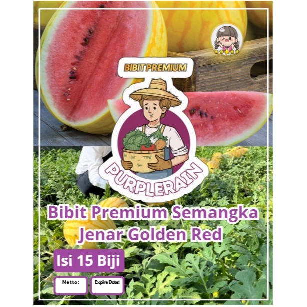 Bibit Premium Semangka Jenar Golden Red | Biji BenihSemangka Golden Red | Semangka Jenar