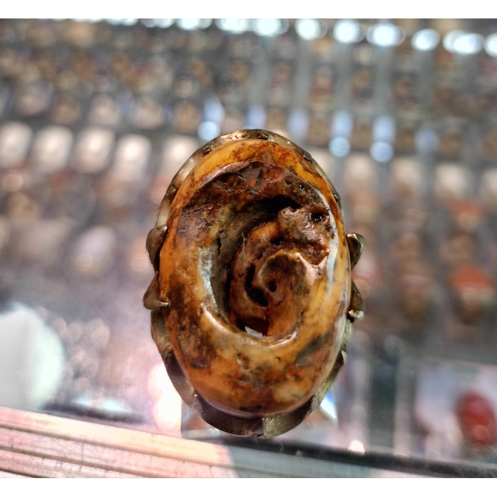 Cincin Fosil keong/kool buntet/jumbo(Natural)