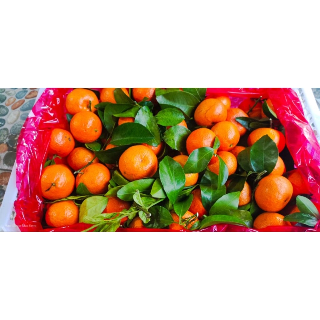 Jeruk Santang mandarin