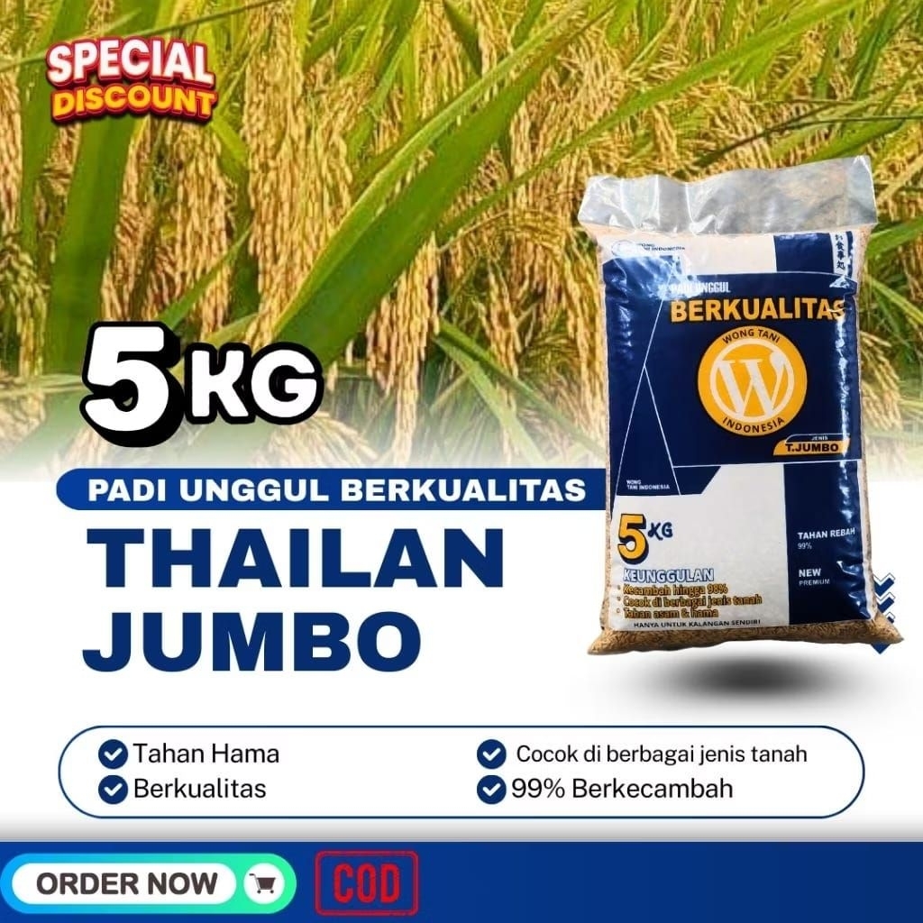 Gabah kering thailand jumbo
