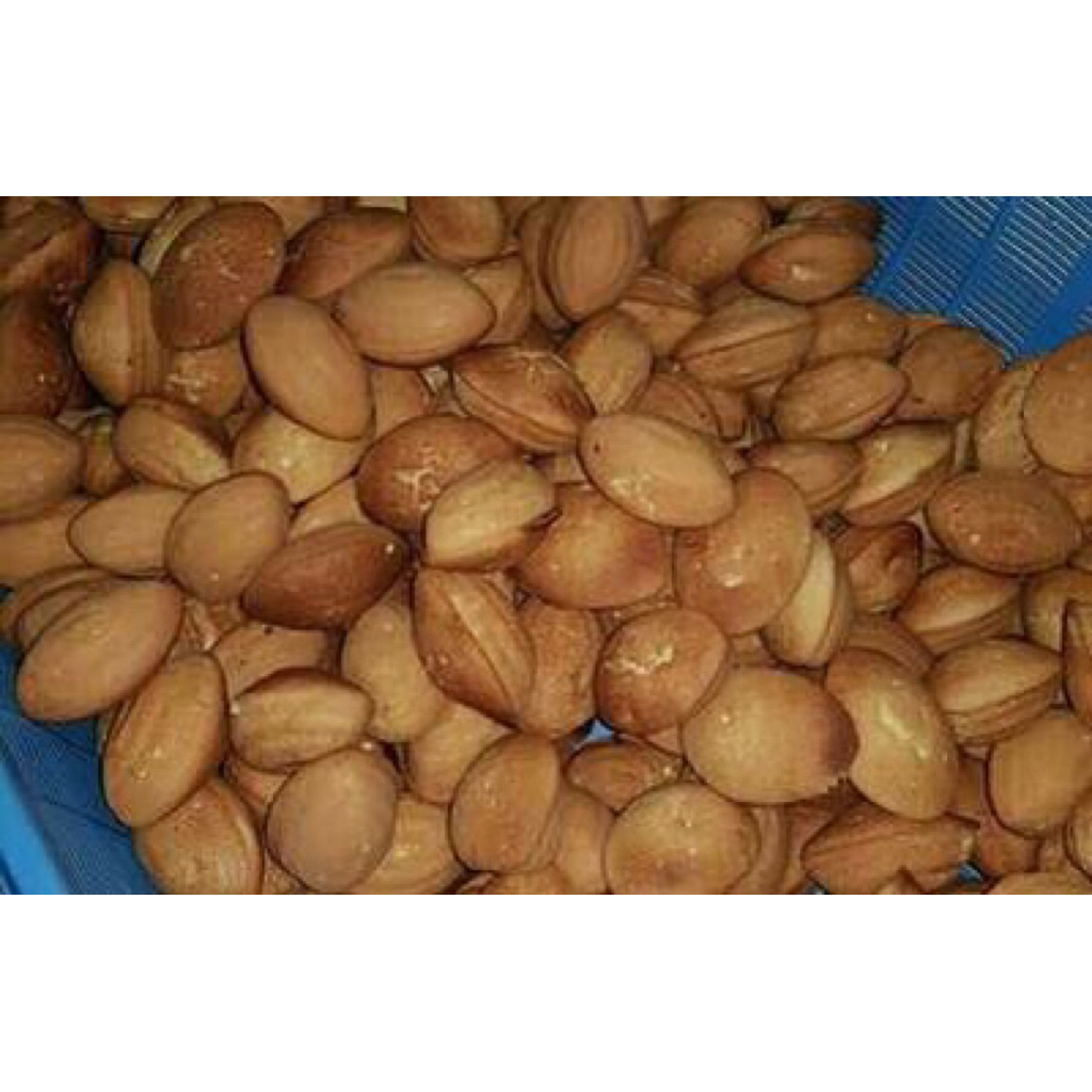 kue bolu magetan/bolu rahayu/ bolu telur