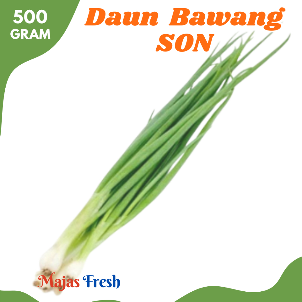 DAUN BAWANG SON Segar - Sayur Bawang Daun SON Fresh | 500gr [ Harga Per 0,5 Kg ]