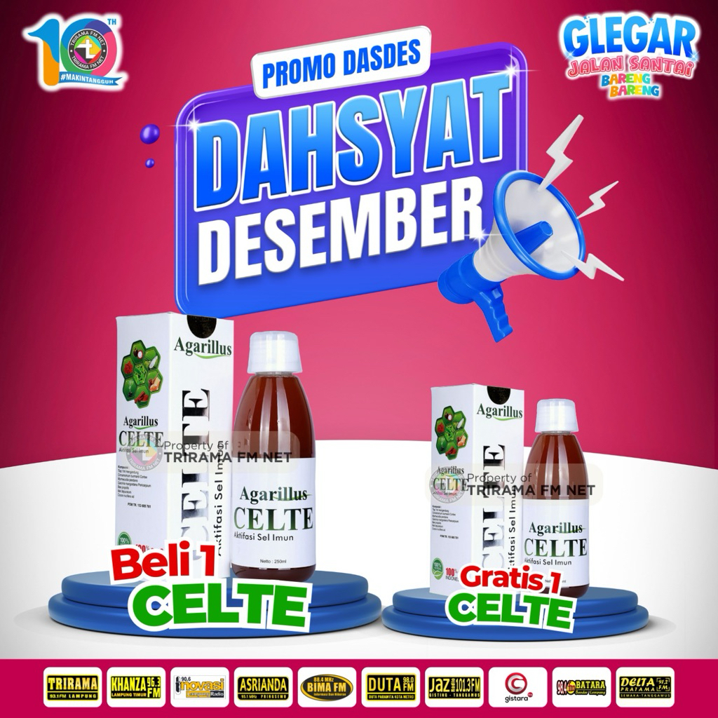 Agarillus Celte Original Berlogo