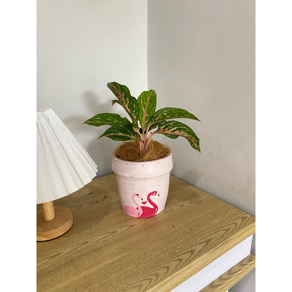 Pot gerabah lukis - pot bunga - pot tanaman - KHUSUS INSTANT