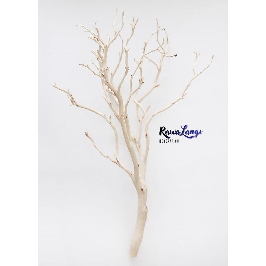 Ranting kayu kering Batang pohon bercabang Hiasan dekorasi estetik