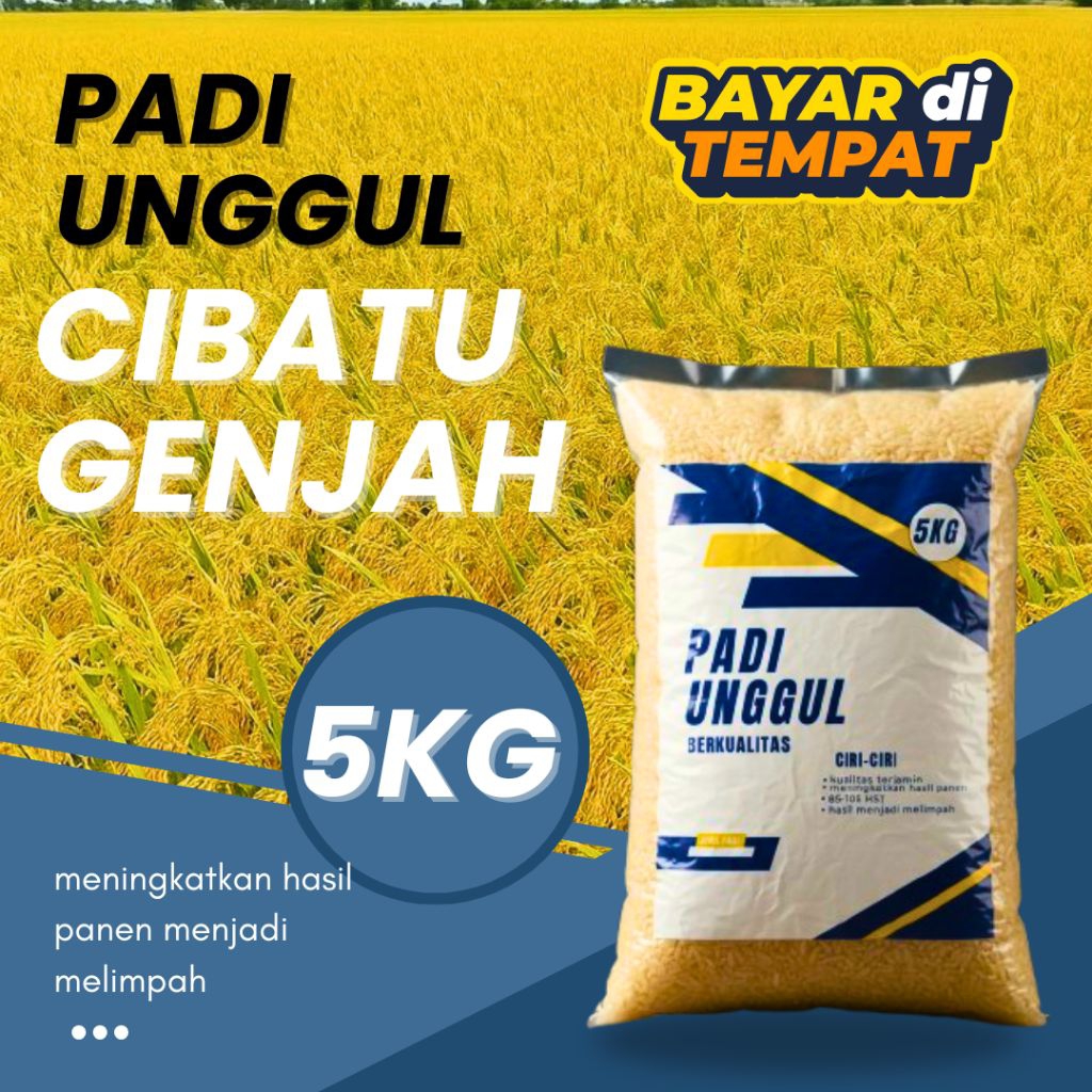 benih padi Cibatu genjah 5kg