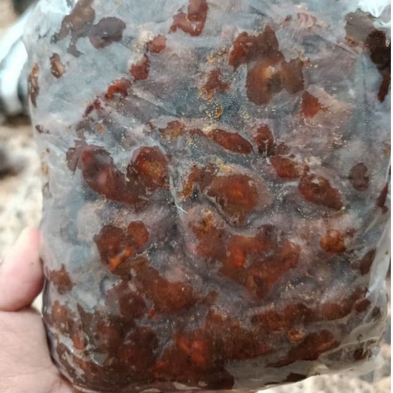 ASAM JAWA FRESH 1KG  - ASEM JAWA ASLI