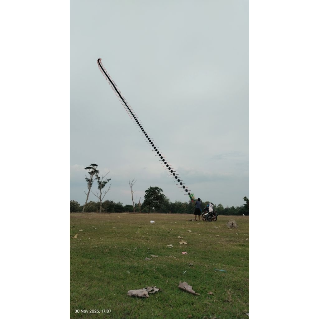 layangan naga DM25 (kepingan doang)