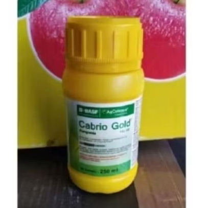 Cabrio Gold 250 ml