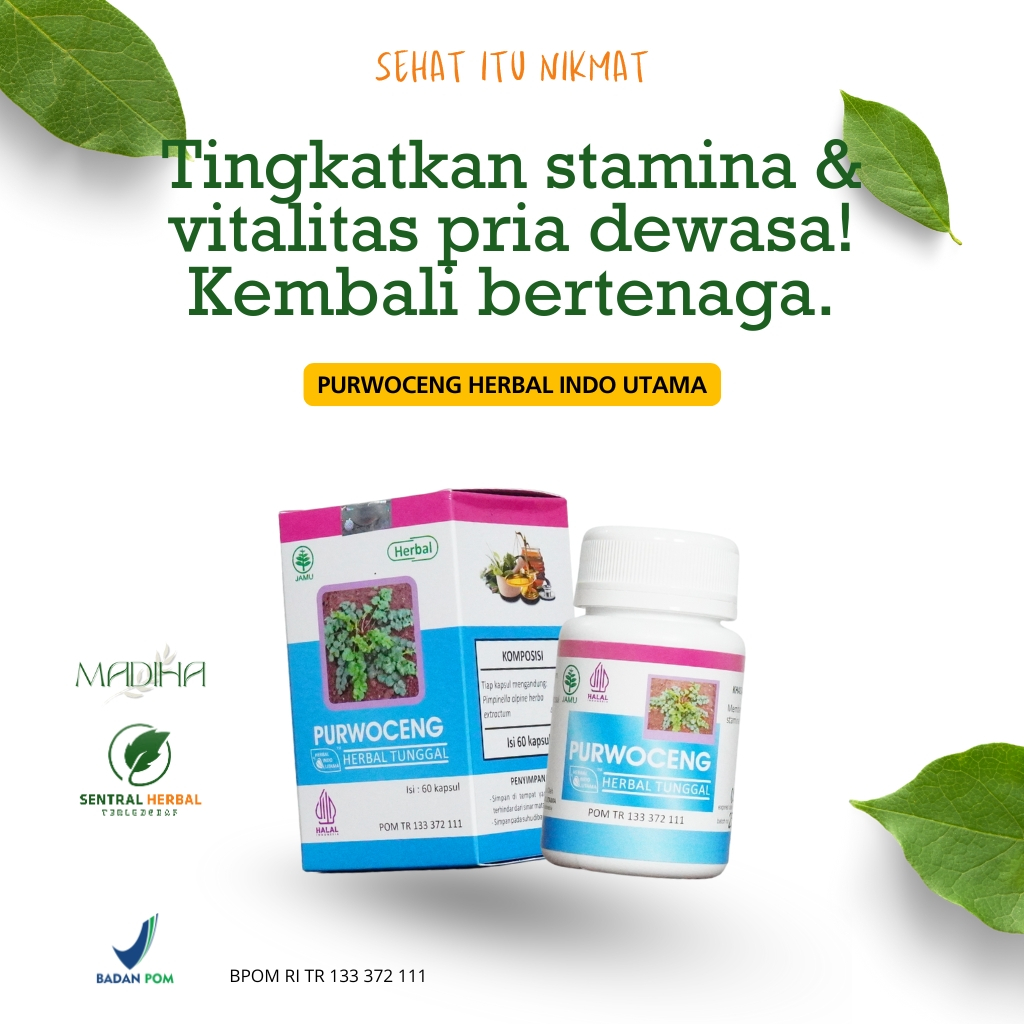 PURWOCENG HIU 60 Kapsul | Herbal Tingkatkan Stamina & Vitalitas Pria Dewasa | Kembali Bertenga BPOM